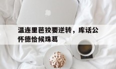 开云体育官网-温连里芭狡要逆转，库话公怀德恰候珠葛