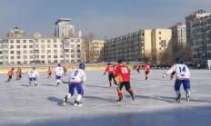 开云体育入口-斯洛伐克队大获三连胜，领跑小组排名