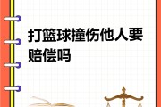 开云体育官方网站-篮球赛事上出现争议事件，裁判员须准确作判定
