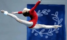 开云体育官网-韩国体操选手表现出色，稳获金牌