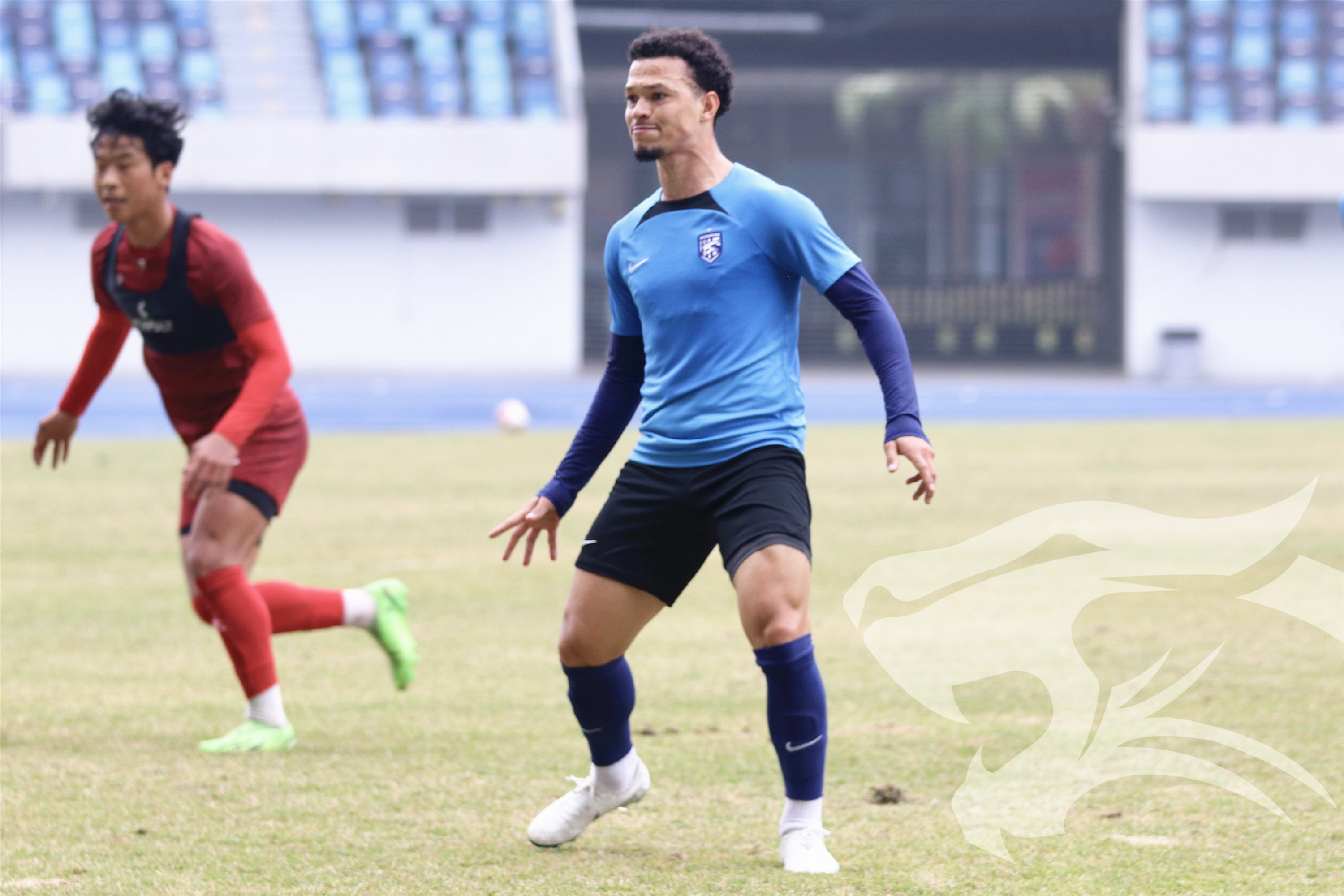 尼斯球队备战新赛季，加强训练的简单介绍