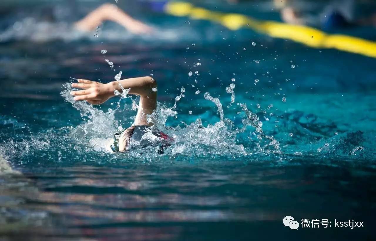 泰国游泳好手勇创佳绩，让人称赞