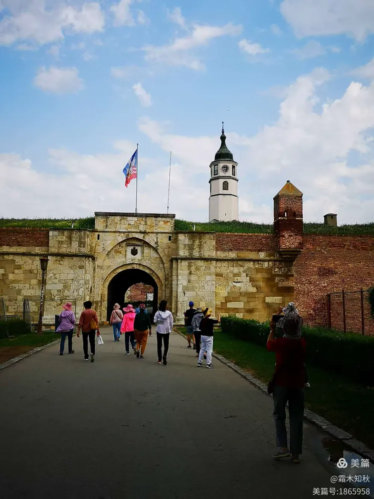 贝尔格莱德联盟再创佳绩，引发热议的简单介绍