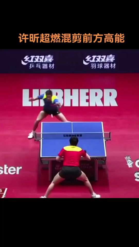 瑞典队翻盘奥地利队，许昕高光表现的简单介绍