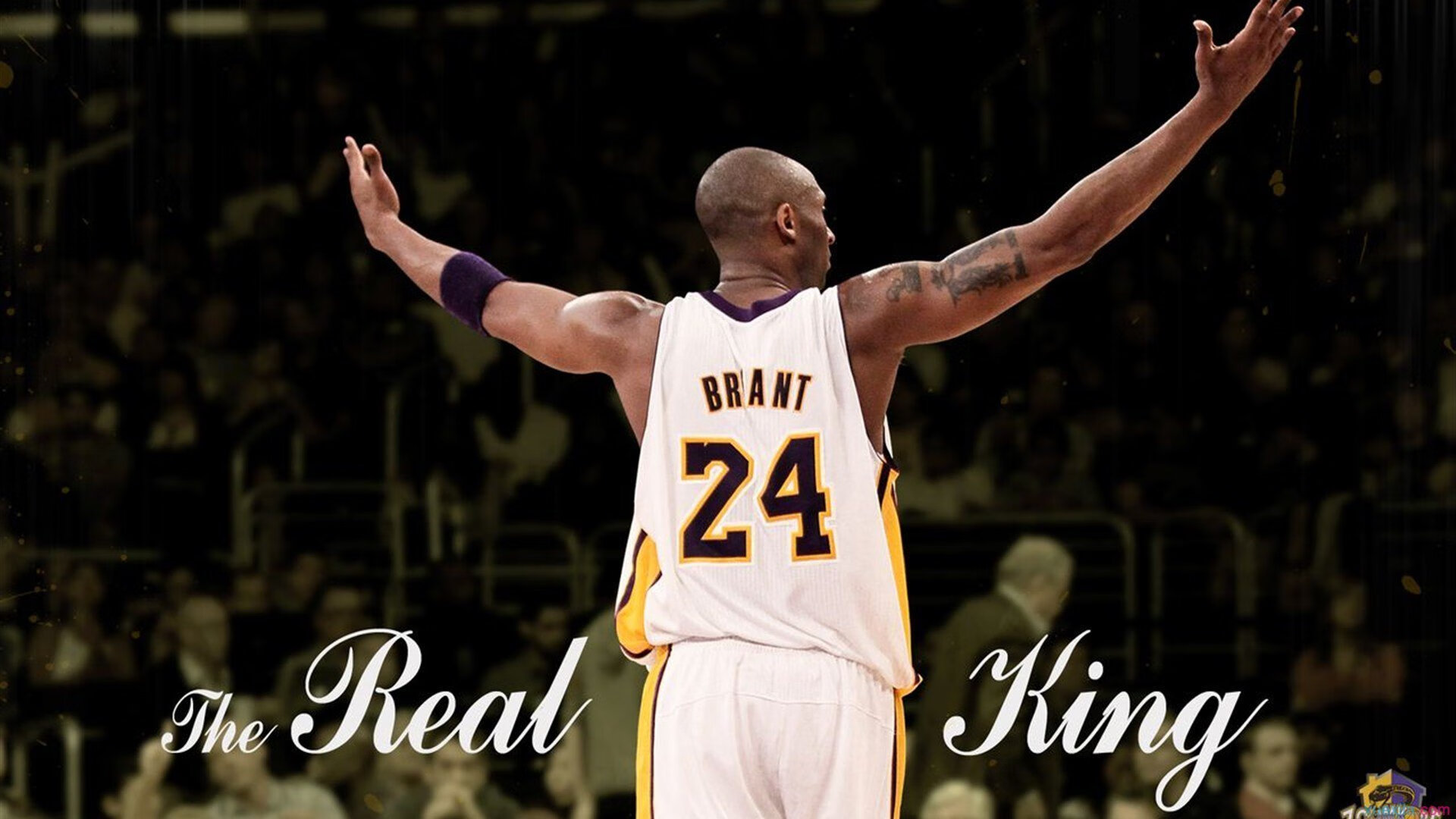 白矮星的余晖，38岁保罗在猛龙高原之战上演末节连续得分艺术